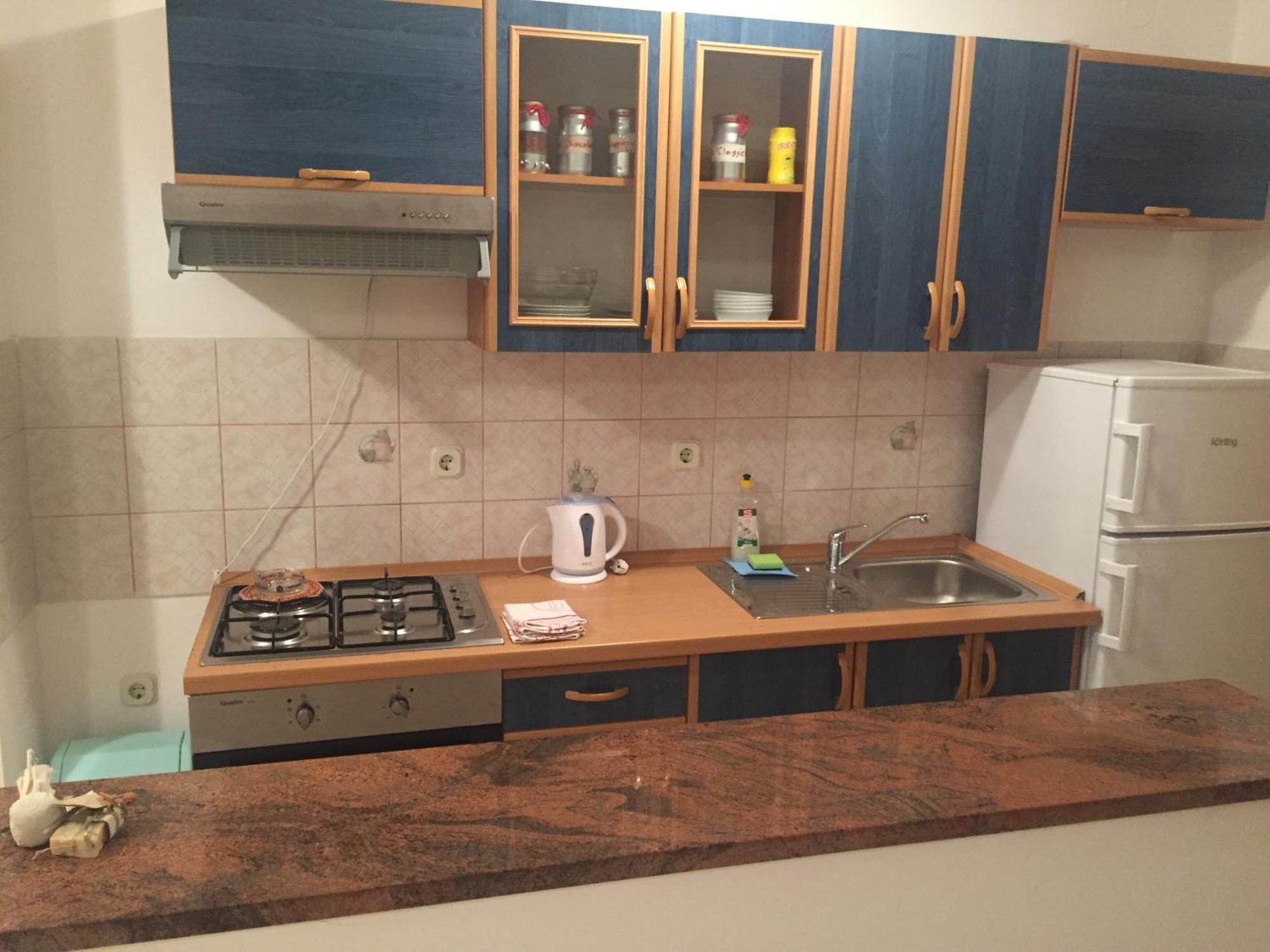 Apartments Vidovic ポヴリャナ 部屋 写真